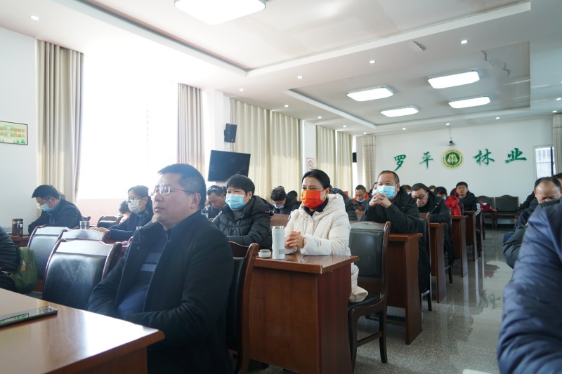 1644894843334729.jpg DSC03527.JPG