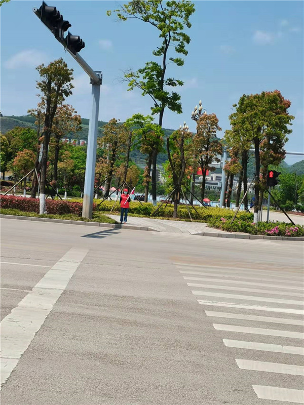 1651193734870247.jpg III-20-1)2022年4月8日,罗平县医疗保障局积极开展“文明交通 你我同行”志愿服务月活动.jpg