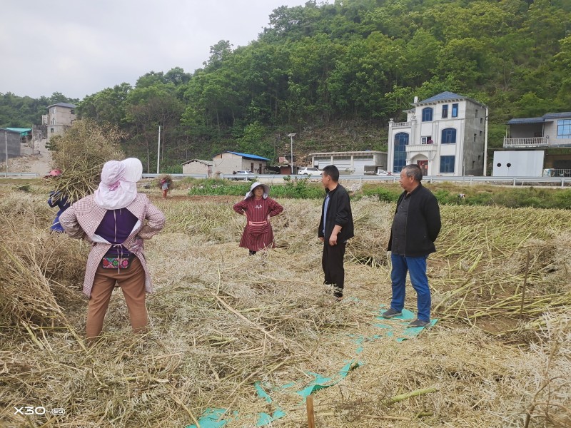 1652229967477766.jpg 微信图片_202205102032192.jpg