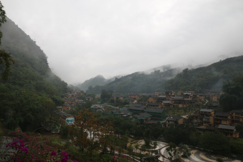 1653523749931842.jpg IMG_2343.JPG