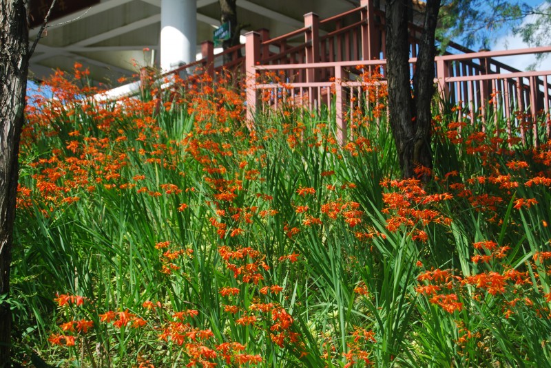 1658797024879645.jpg 图4.JPG