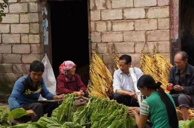 1659486798826242.jpg 1 (3).jpg