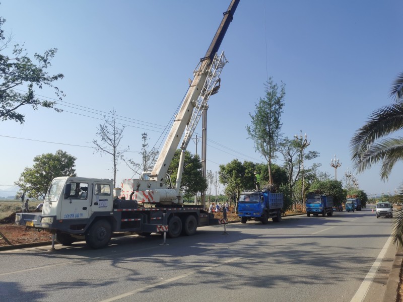 1665450134474865.jpg 花海大道建设2.jpg