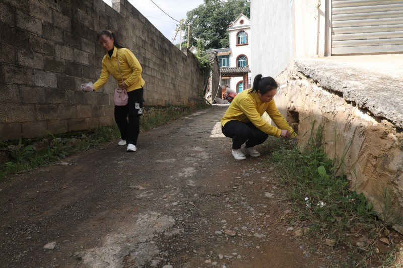 1667286656209634.jpg 0C4A1048.JPG