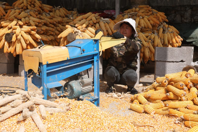 1667286729385860.jpg 0C4A1058.JPG