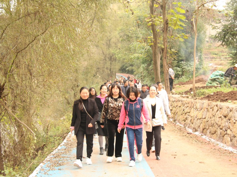 1667826134664845.jpg IMG_8270.JPG