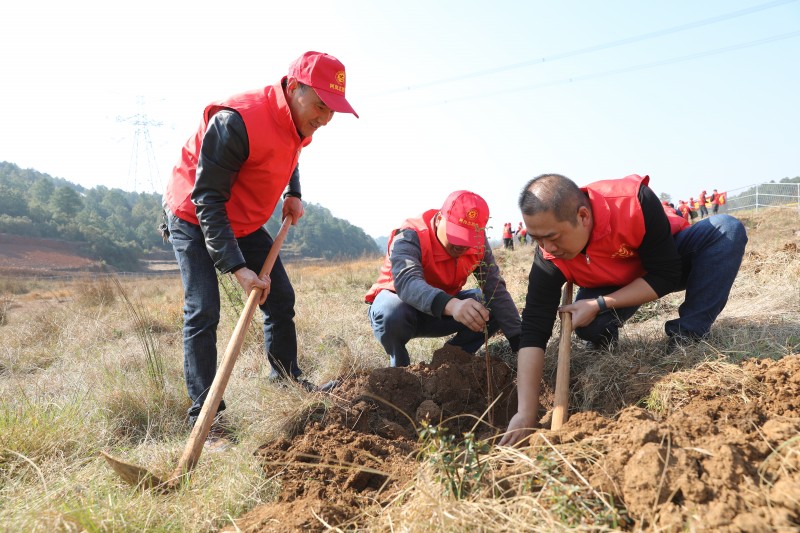 1678671919632591.jpg F09A1755.JPG