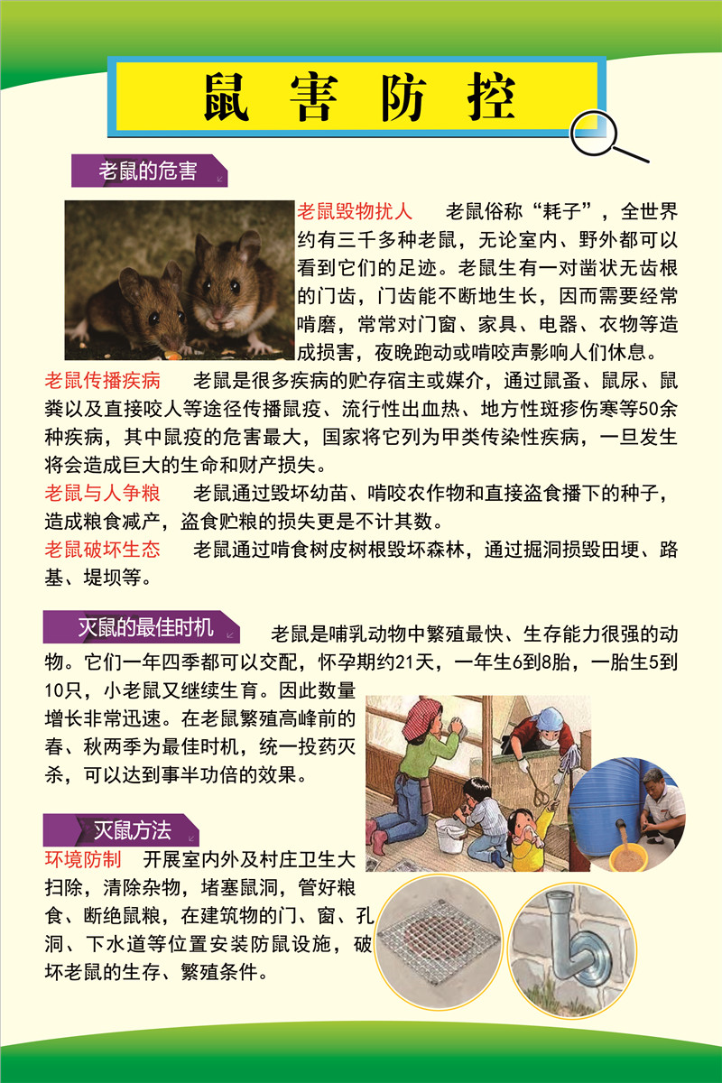 8.罗平县2023年爱卫月宣传（鼠害防控）.JPG