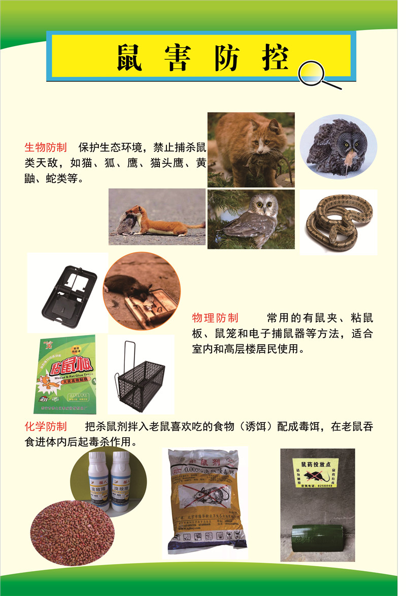 9.罗平县2023年爱卫月宣传（鼠害防控1）.JPG