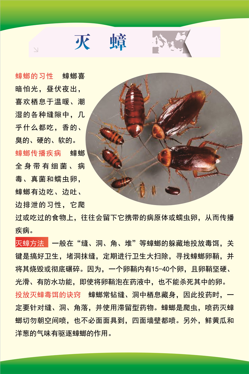 12.罗平县2023年爱卫月宣传（四害防控-灭蟑）.JPG