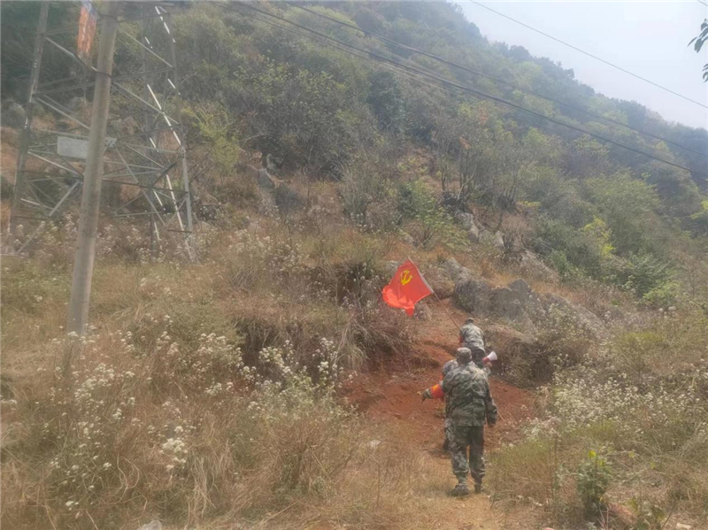 1681698465765068.png 图片2.png