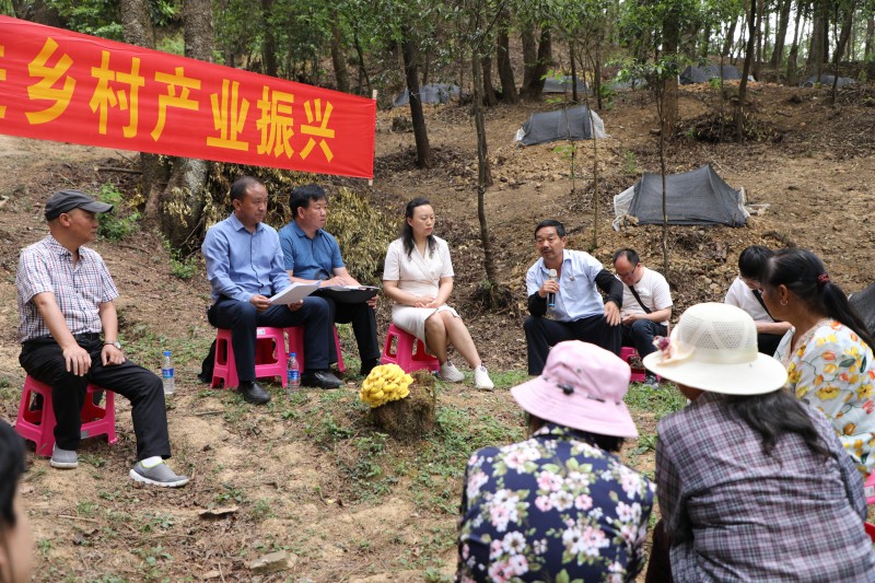 1683160550350024.jpg 0B7A2281.JPG