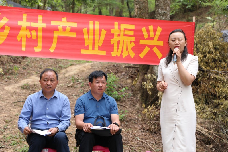 1683160567130400.jpg 0B7A2301.JPG