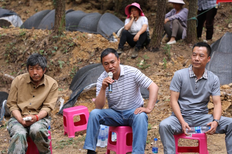 1683160616424319.jpg 0B7A2337.JPG