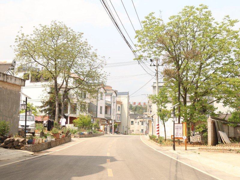 1685493444304269.jpg IMG_1258.JPG