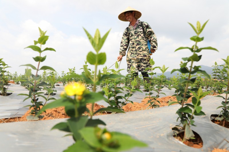 1686539469512722.jpg 188A2472.JPG