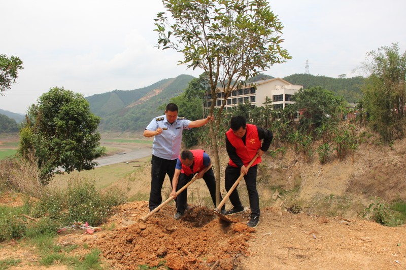 1687157546857935.jpg IMG_3096.JPG