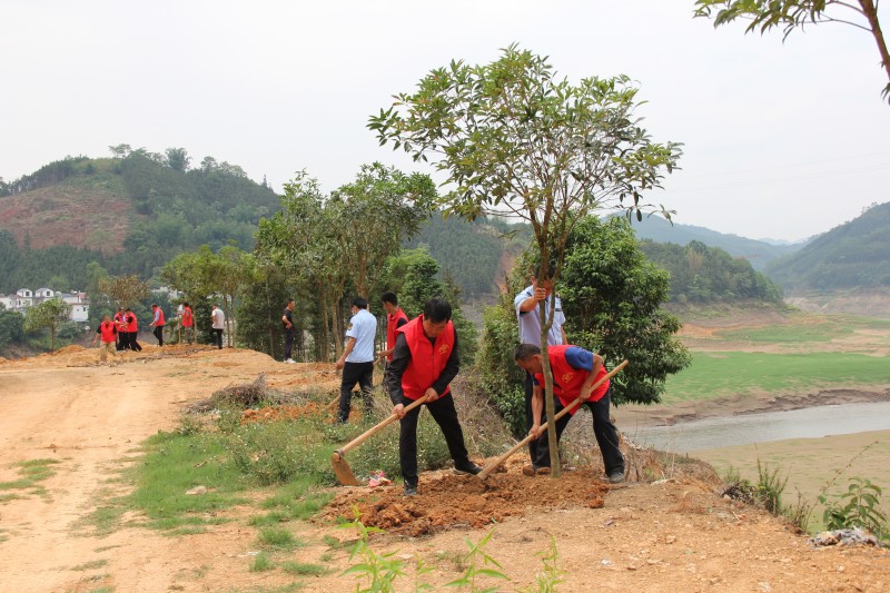 1687157561681087.jpg IMG_3098.JPG