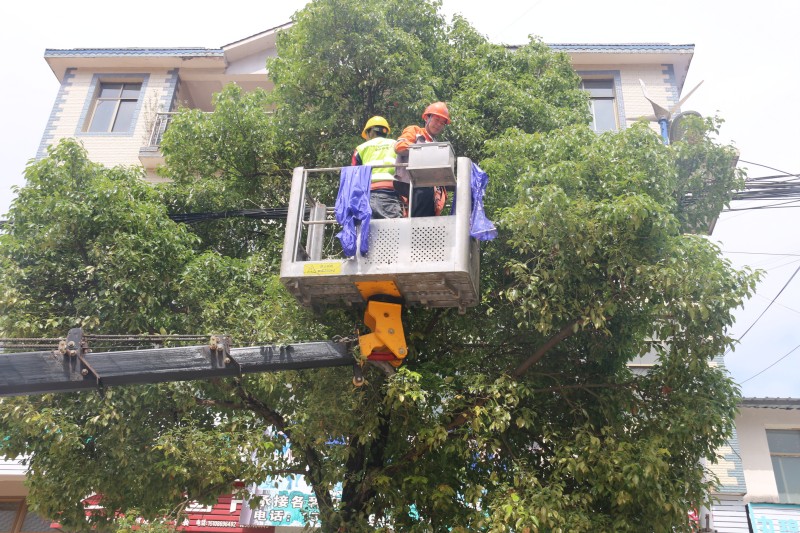 1687311603441932.jpg IMG_0081.JPG