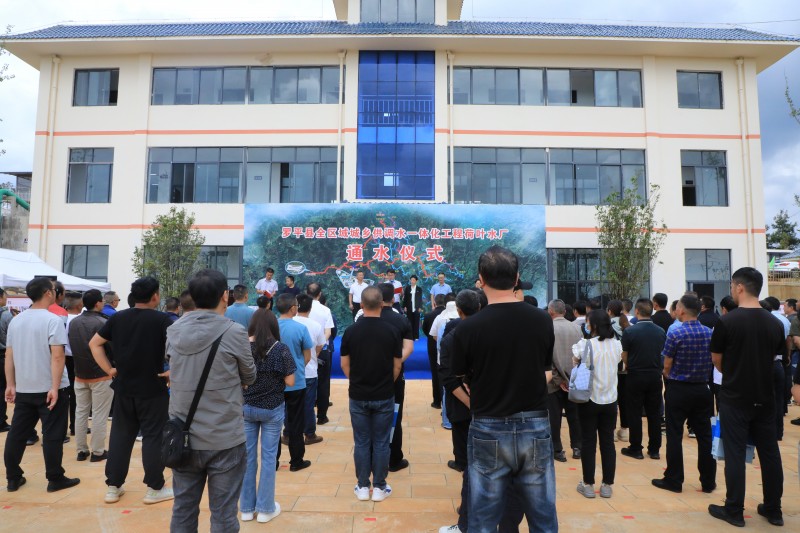 1687508561886798.jpg 1N9A1942.JPG