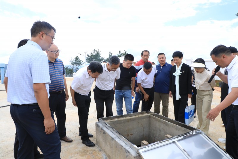 1687508669191794.jpg 1N9A1956.JPG