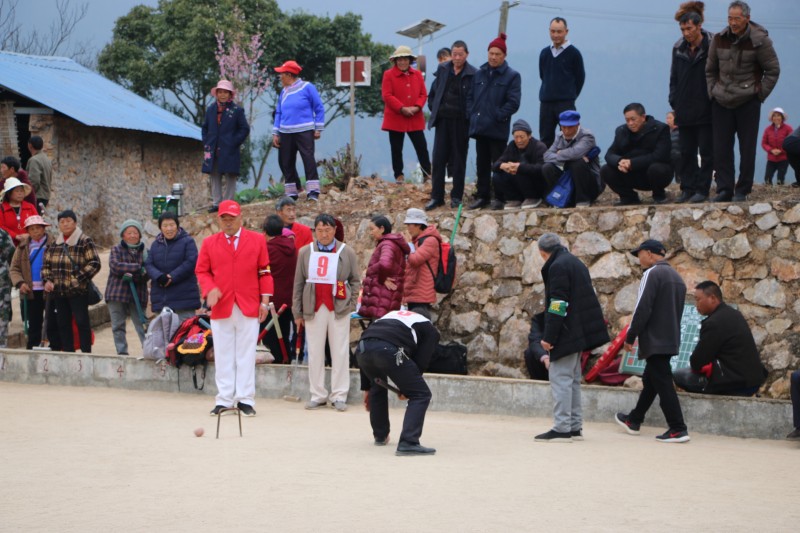 1688086581293210.jpg 1 (3).JPG