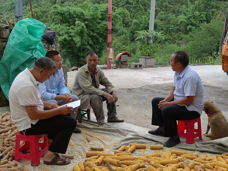 1690267809637432.jpg 6d9b7d0f0fde95615180b2cb215d4a5.jpg