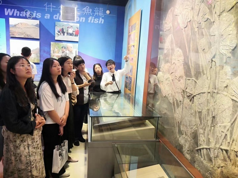 1691376941437063.jpg 5.jpg