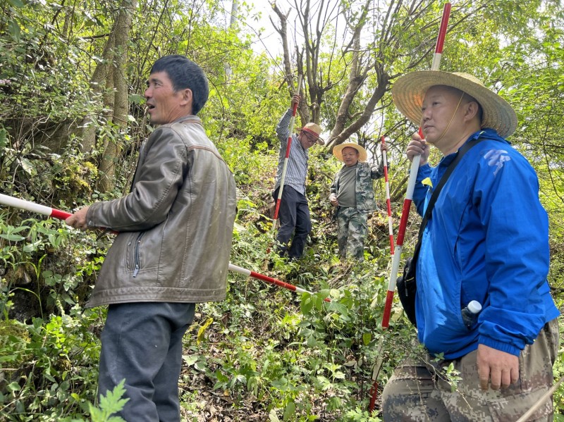 1699426865522139.jpg 2.jpg