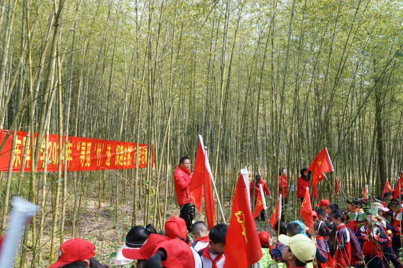 1710314549966704.jpg DSC01907.JPG