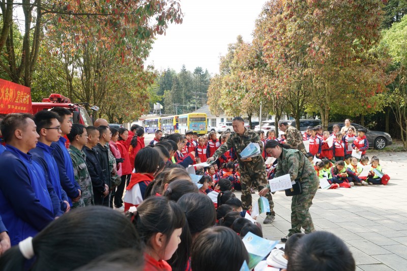 1710314588622494.jpg DSC01981.JPG