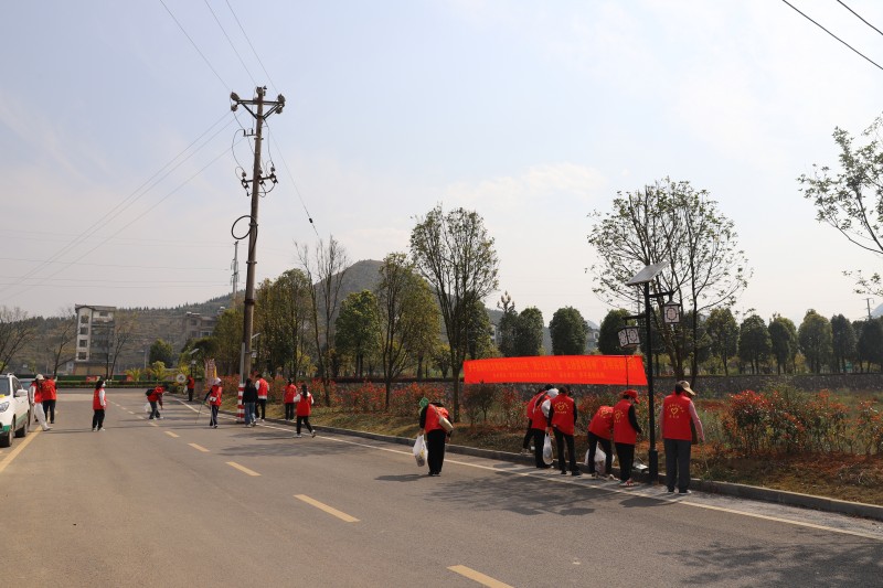 1710814146325136.jpg IMG_8955.JPG