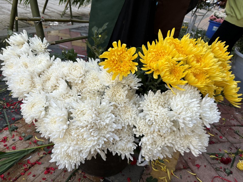 1712108587202115.jpg 2214934.jpg