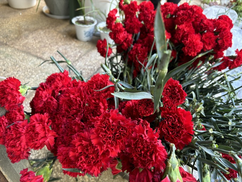 1712108614385103.jpg 2214959.jpg