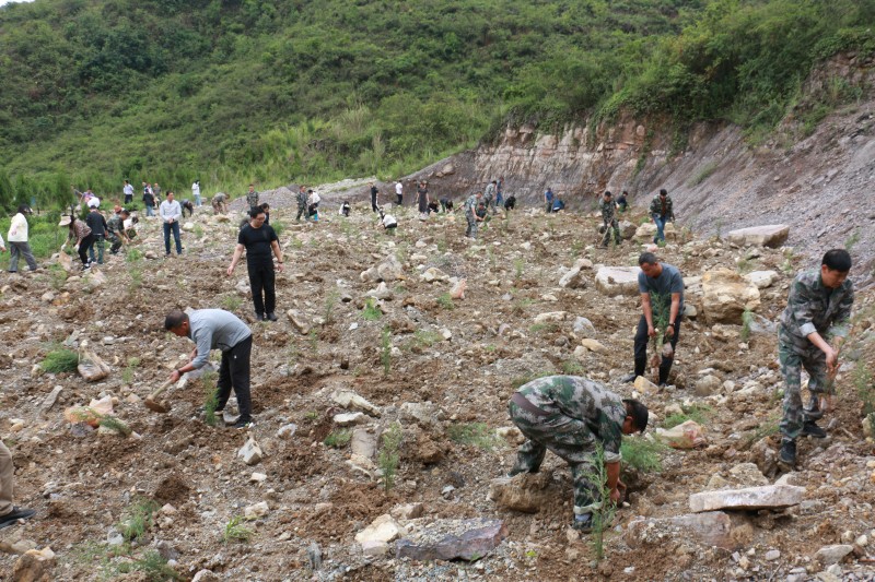 1716340554592836.jpg IMG_4409.JPG