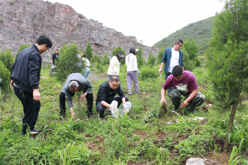 1716340569862662.jpg IMG_4476.JPG