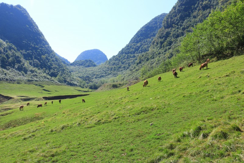 1716340588155010.jpg IMG_1770.JPG