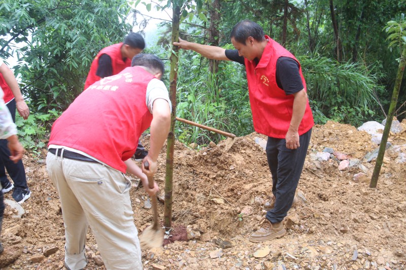 1718864744405267.jpg IMG_5937.JPG