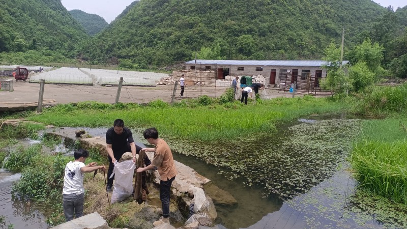 1719539474403377.jpg 572cafeaa4a5d3651bedbabc4ee96ef.jpg