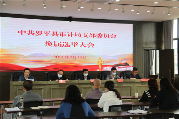1655344302688008.jpg 图片2:2022年6月14日,罗平县审计局召开支部委员会换届选举大会.JPG