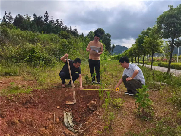 1655946957755309.jpg 图片1:罗平县审计局审计人员在核实北过境干道(长青大道)工程量.jpg
