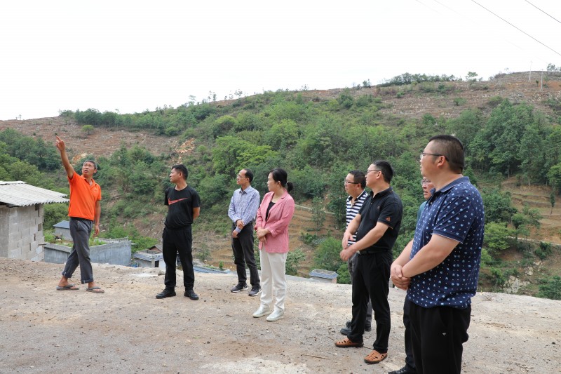 1686540125677784.jpg ff3d239bdf71191718707e9a41e53b6.jpg