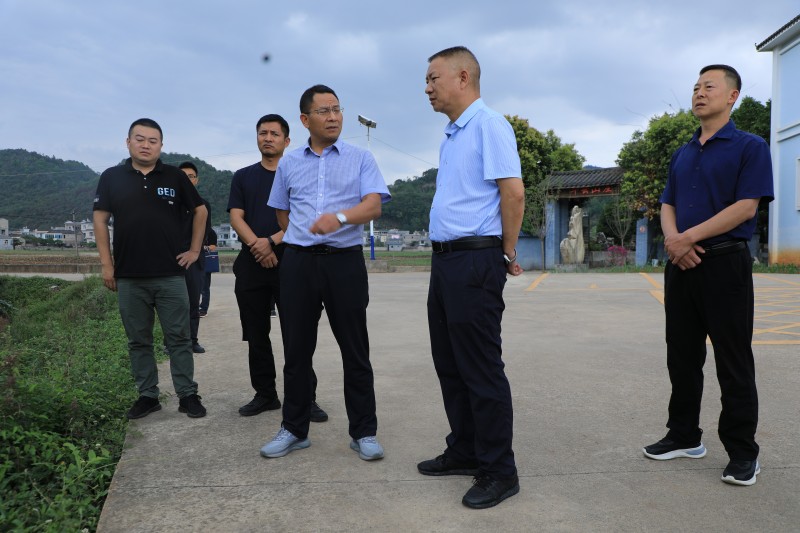 1686790054220007.jpg 1N9A1711.JPG