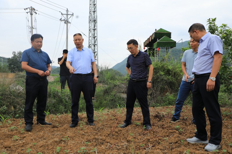 1686790093318061.jpg 1N9A1736.JPG