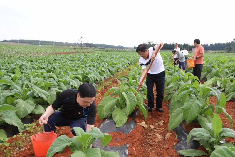 1687939090150245.jpg F10A1410.JPG