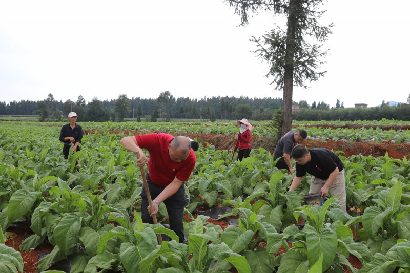 1687939126821510.jpg F10A1426.JPG