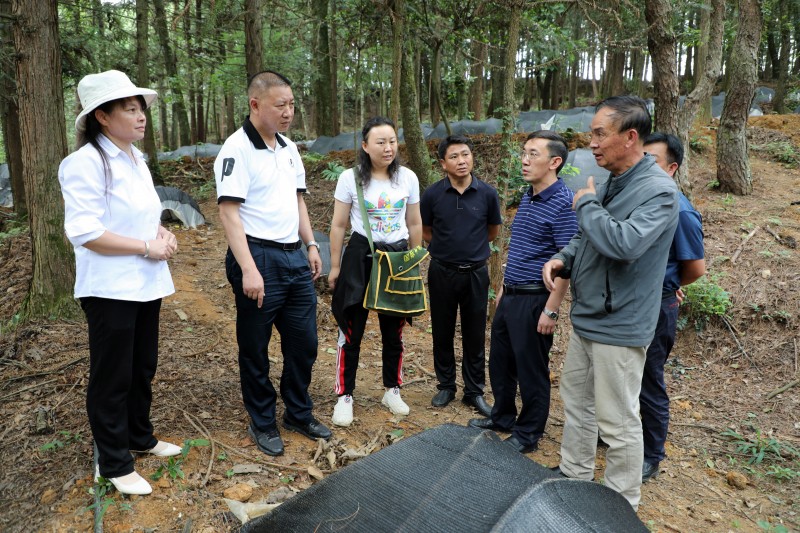 1688088143370199.jpg EV2A4521.JPG