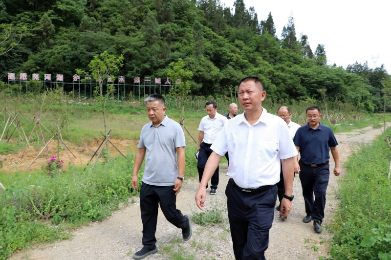 1688352907929302.jpg EV2A7034.JPG