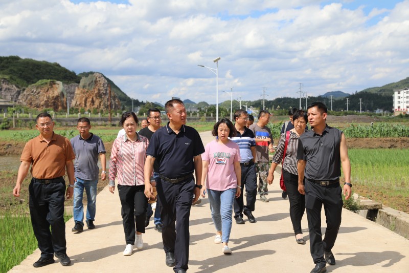 1688950706482839.jpg F10A1741.JPG