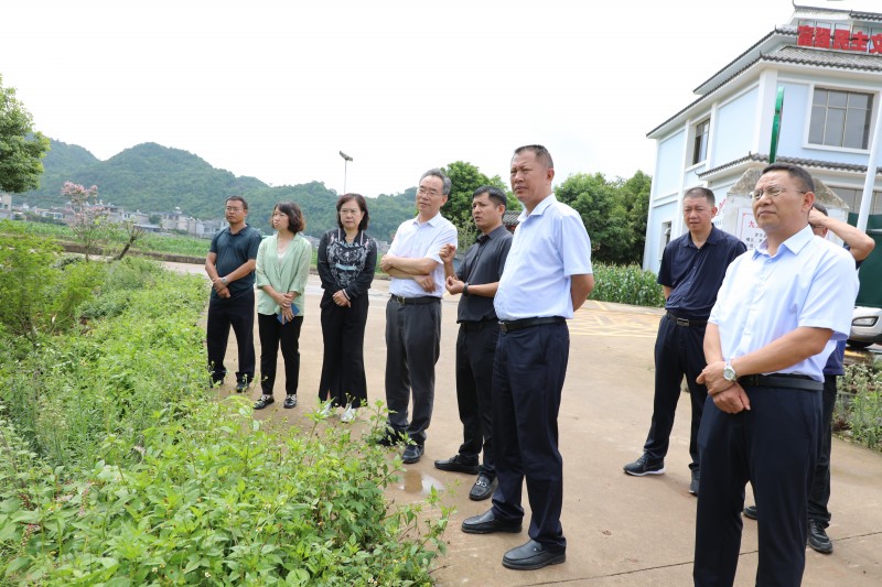 1690156028614362.jpg 1B8A0335.JPG